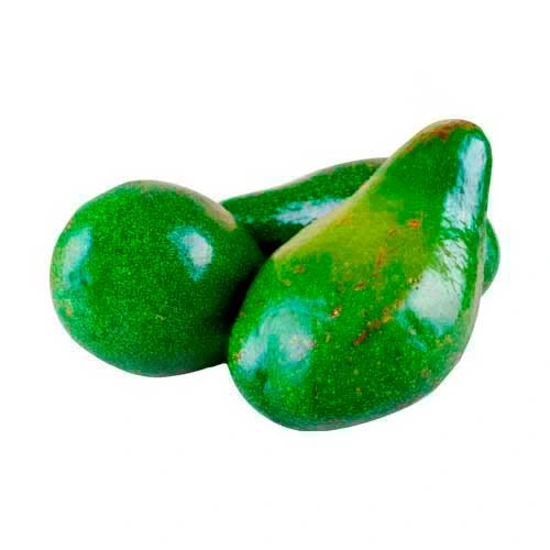 Aguacate